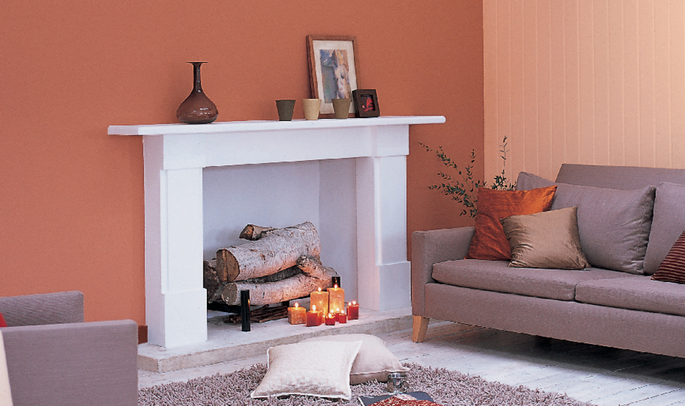 What is the functions of paint? The functionalities of paint is Protection, Environmental